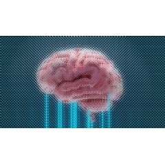 Mila’s AI drives world’s largest study on psychedelics